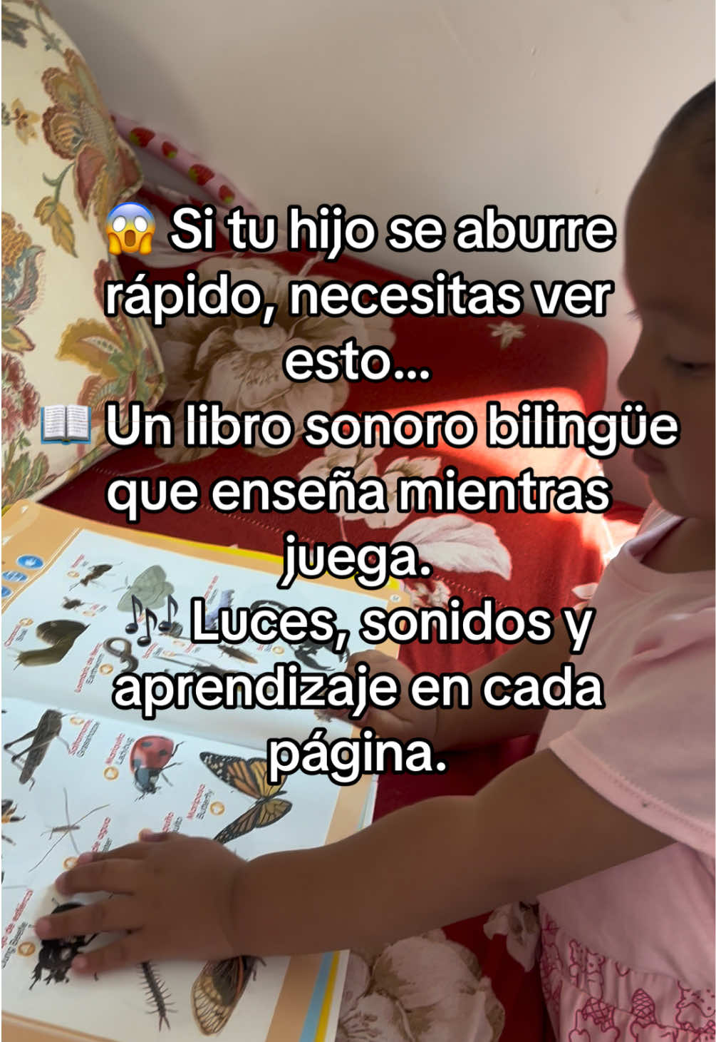 @🌸 Chuy🌸