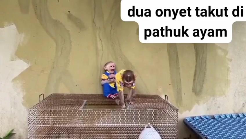 @Monkay Baby