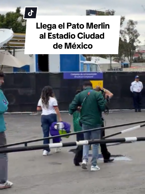 @El Universal