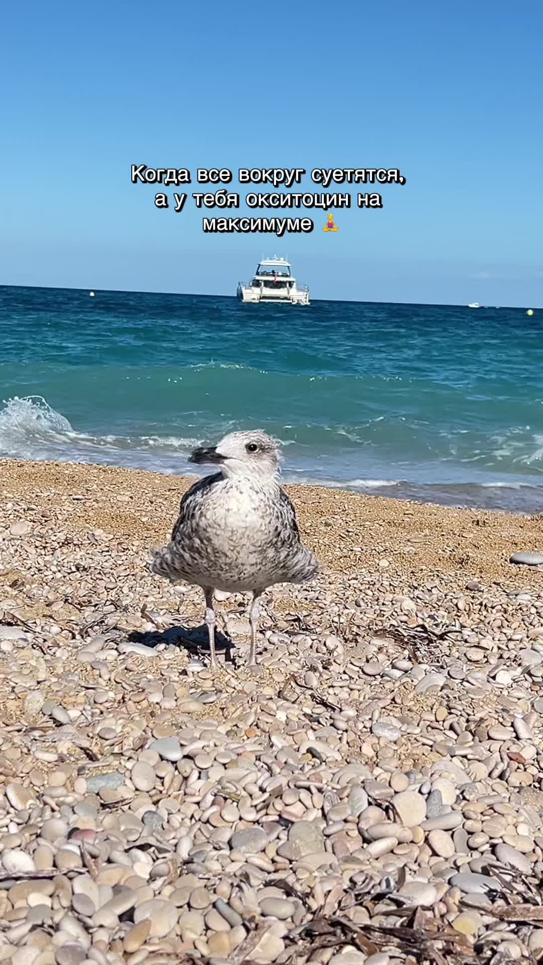 @lara_promax