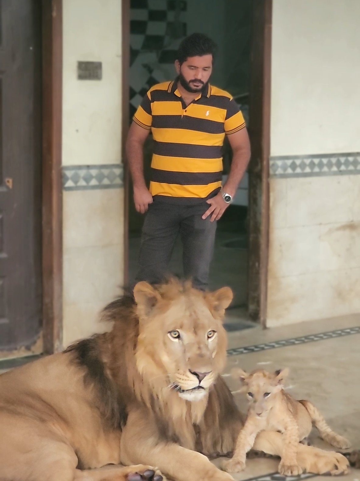 @RehAn
