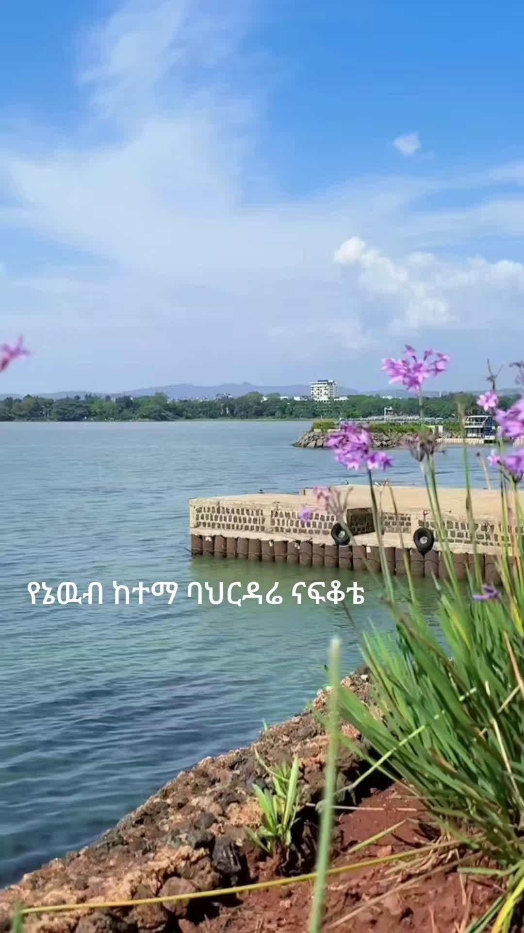 @แฉแช ๐16๐12