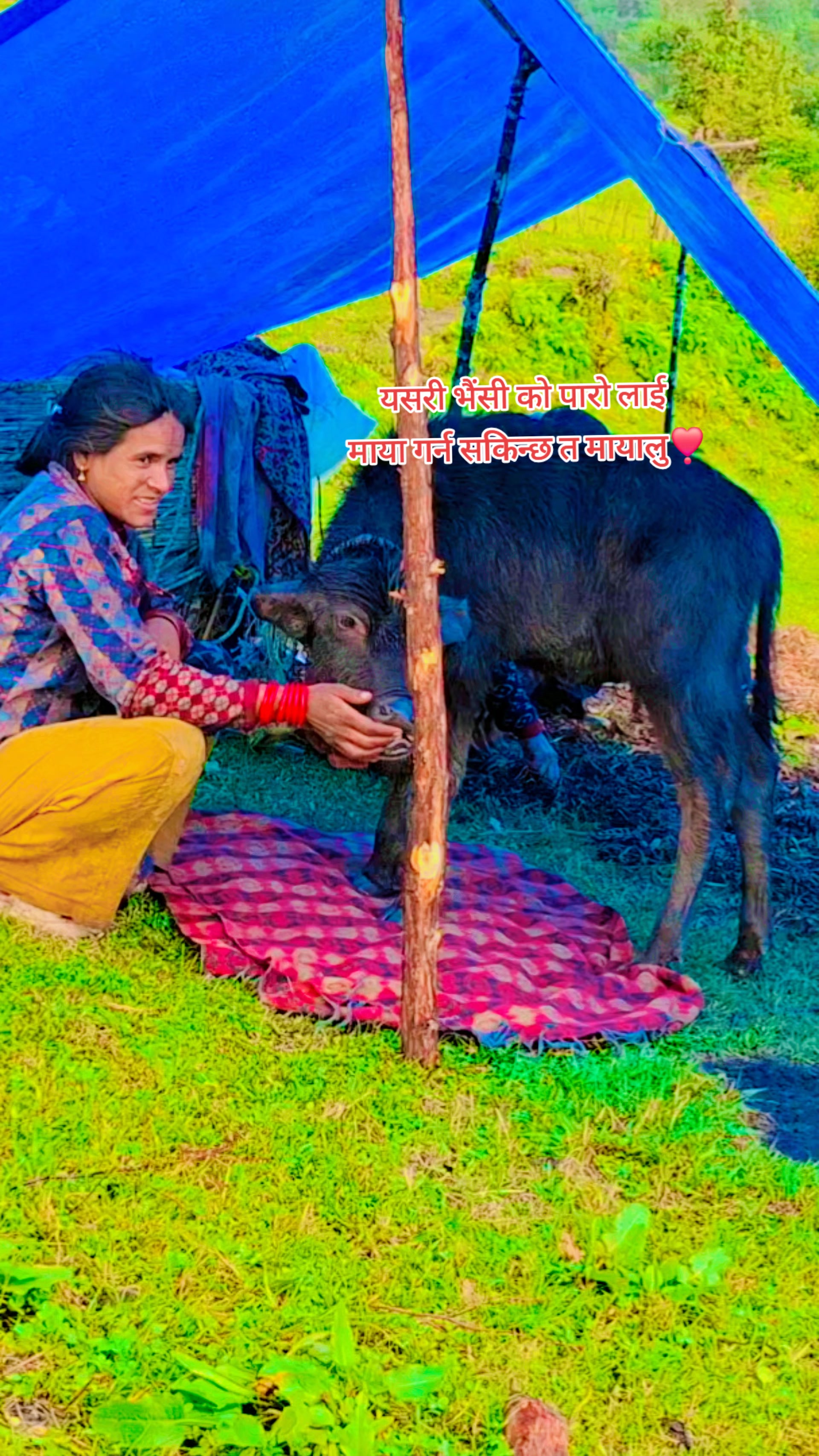 @Nim Bahadur Pariyar 📸🖼️
