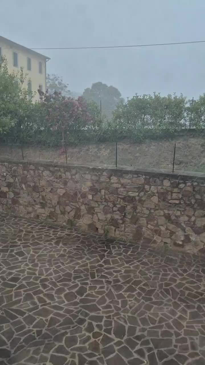 @Weather Insider