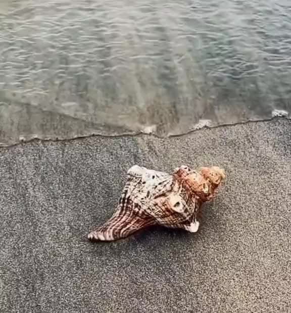 @Ladyboss26
