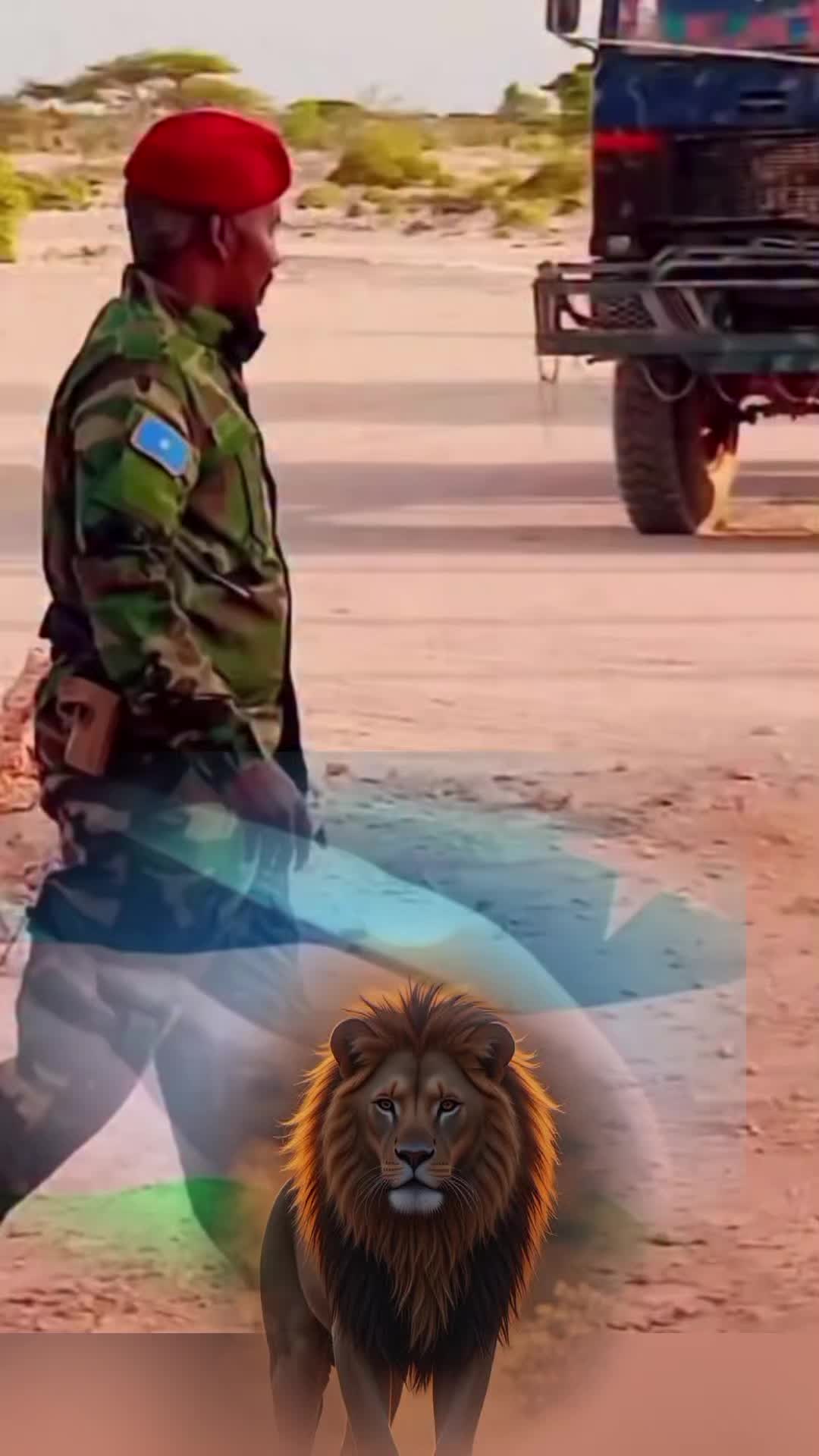 @wanaagsane vt