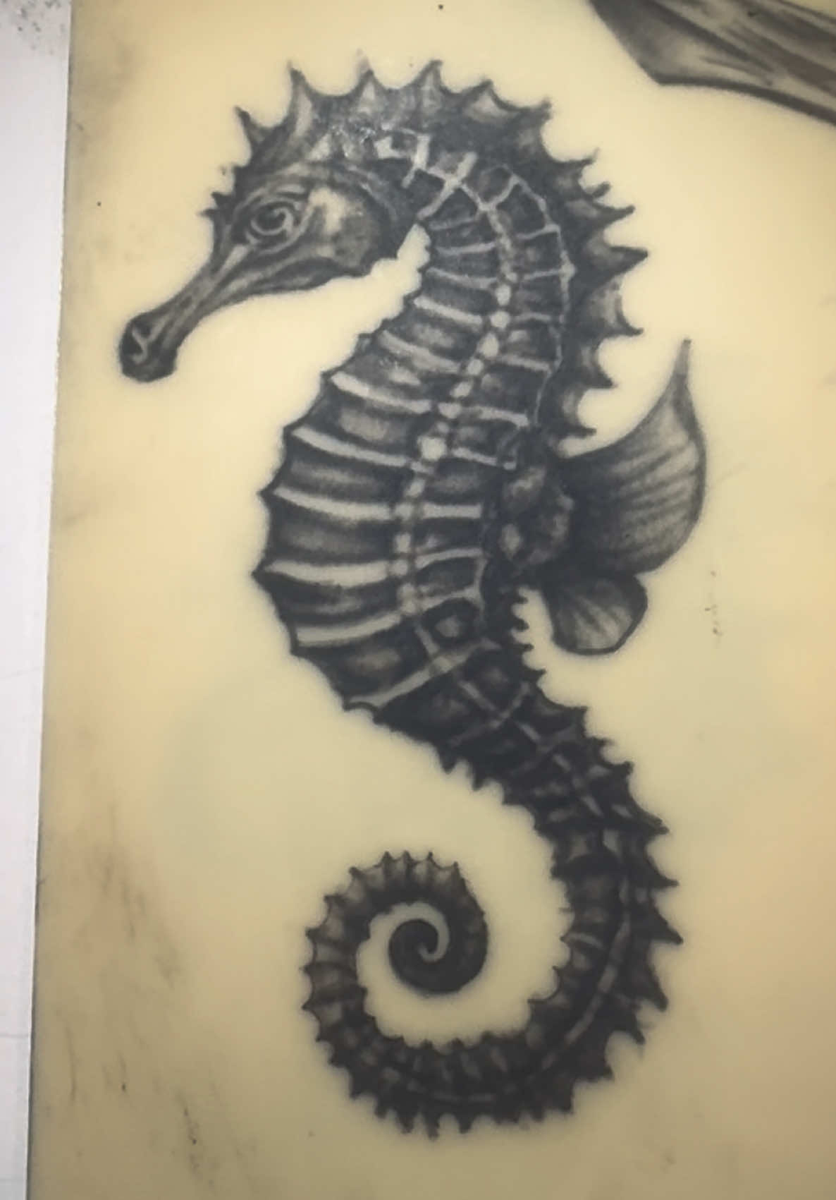 @Sylwia𖦹🪽