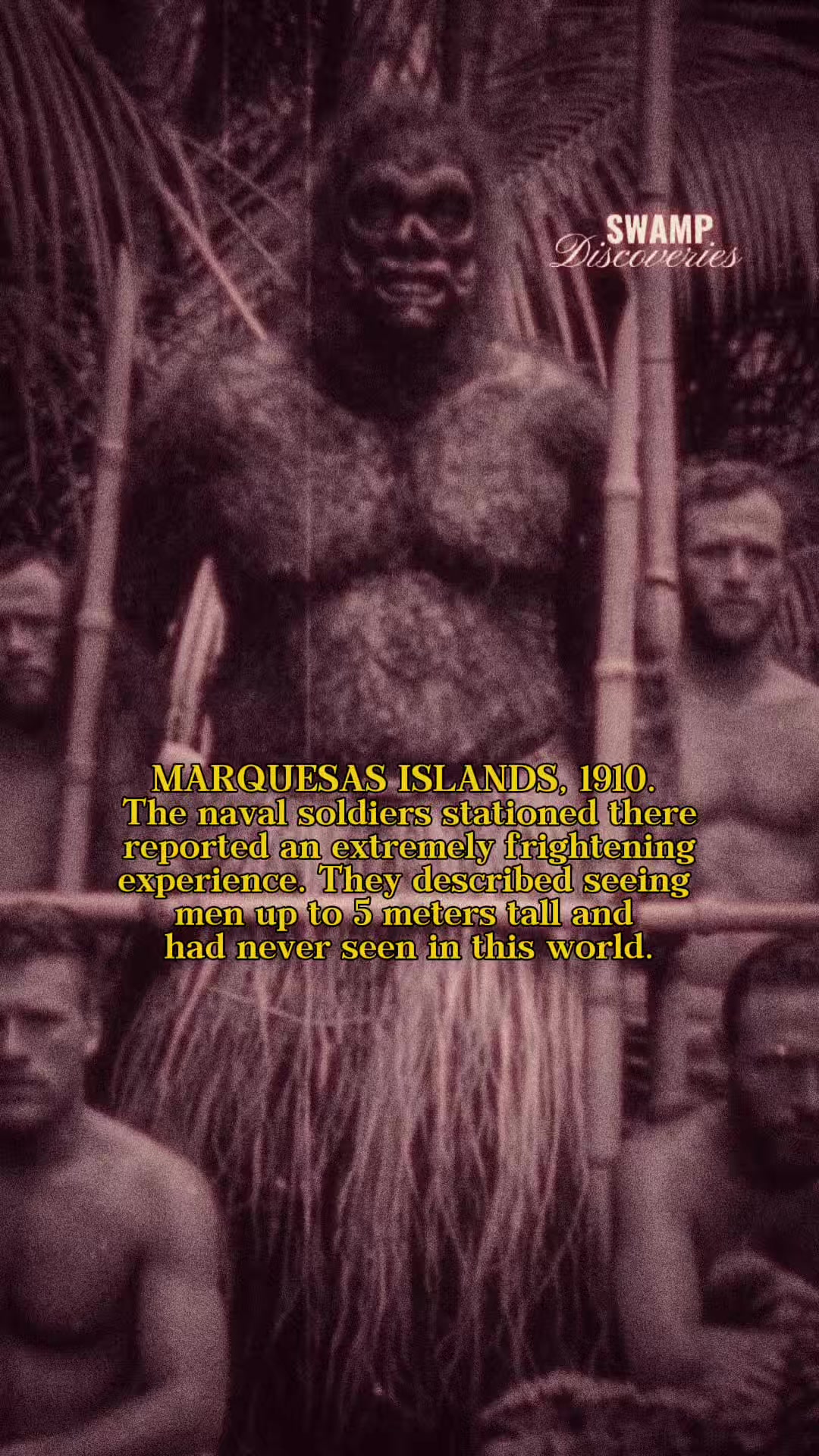 @SwampDiscoveries