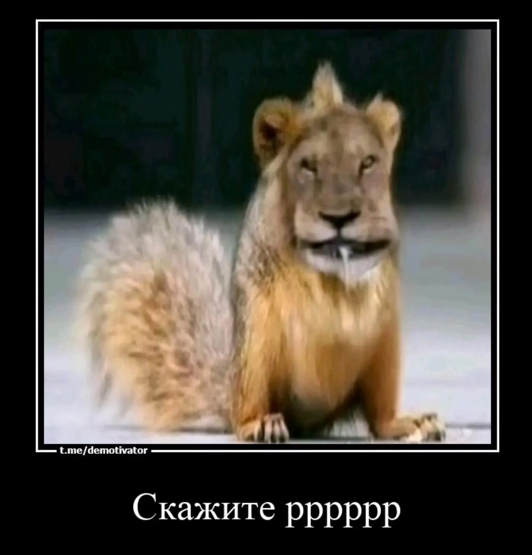 @Александр