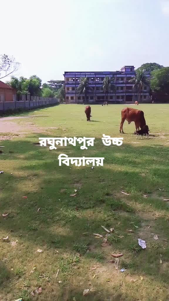 @রাত জাগা পাখি