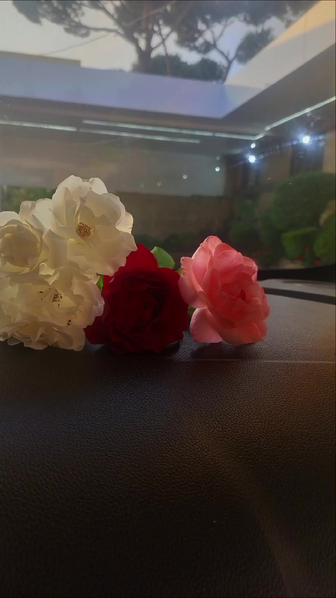 @lavendr81