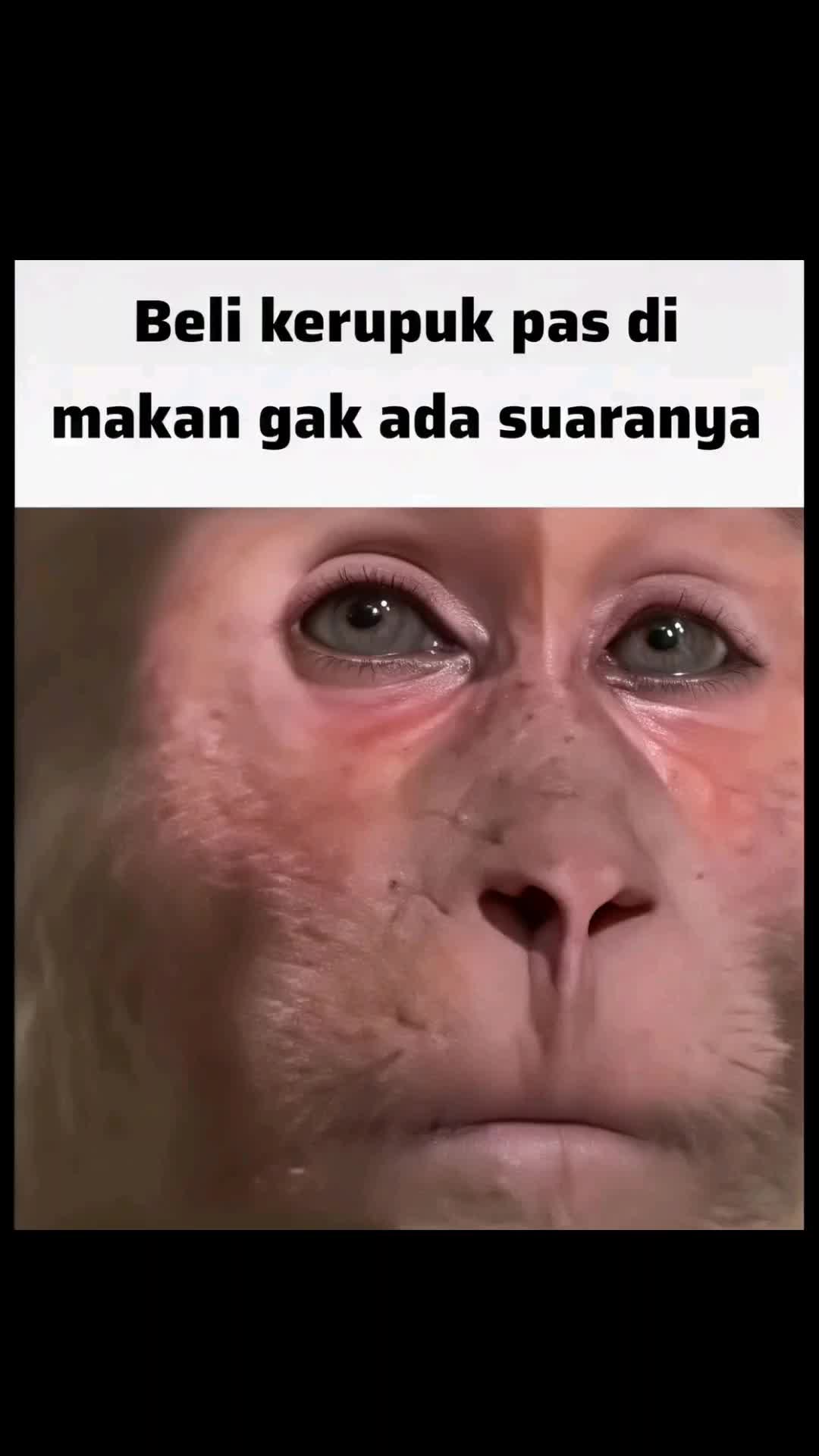 @Karumbang