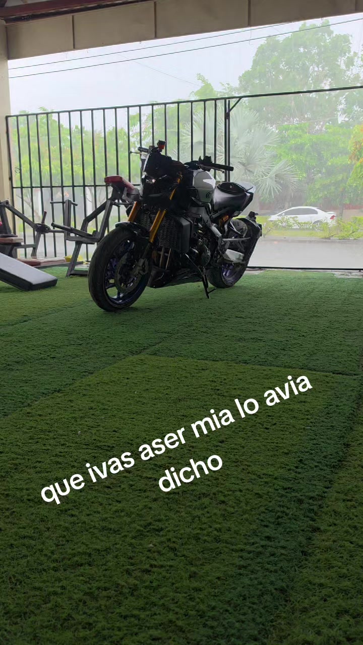 @bilderalfaro