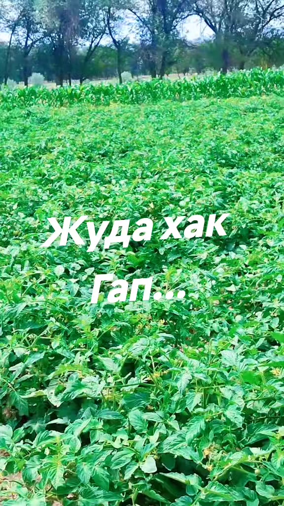 @♦๏ธโฌ ๐บ๐
๐ด๐น โฌ♦๏ธโโ๐เฟเฟเฟเฟ๐ฆ๐ฅ.