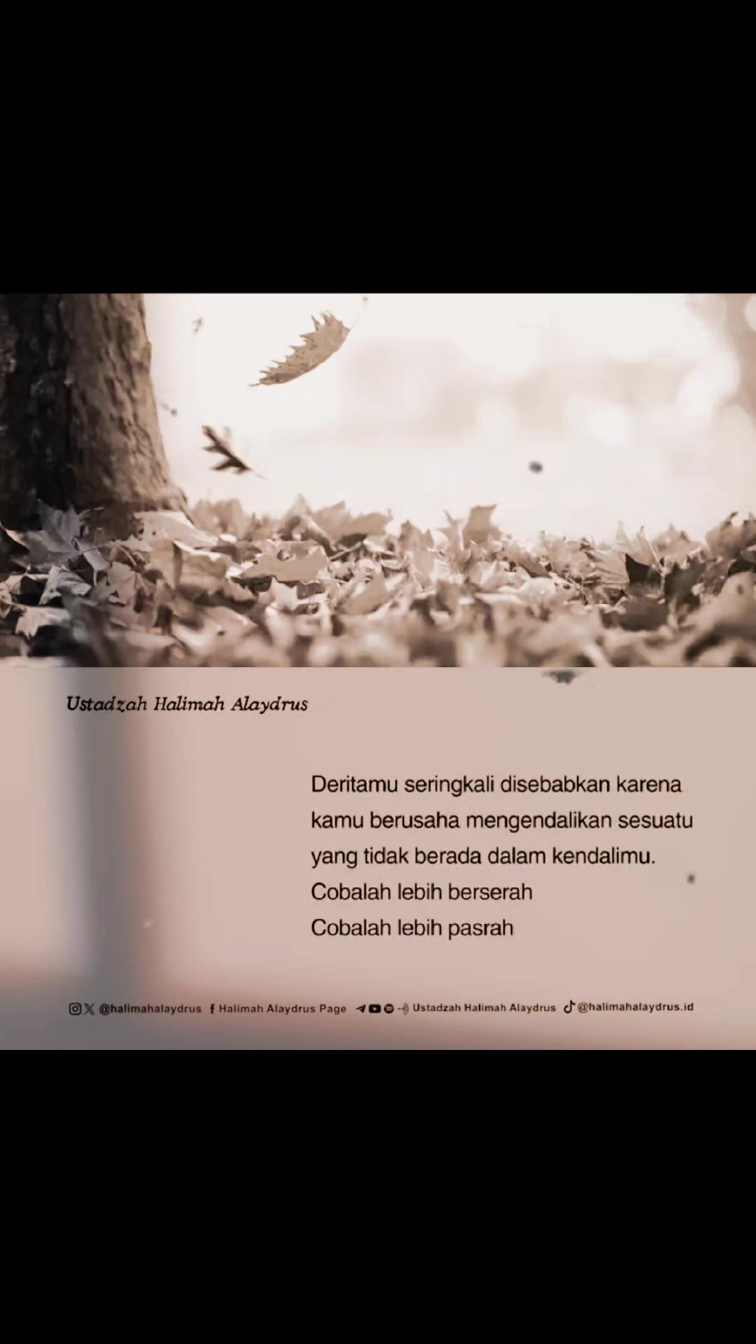 @Meilani Widyastuti