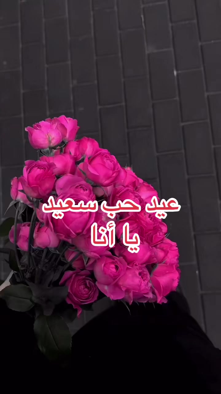 @nagafa_dahab