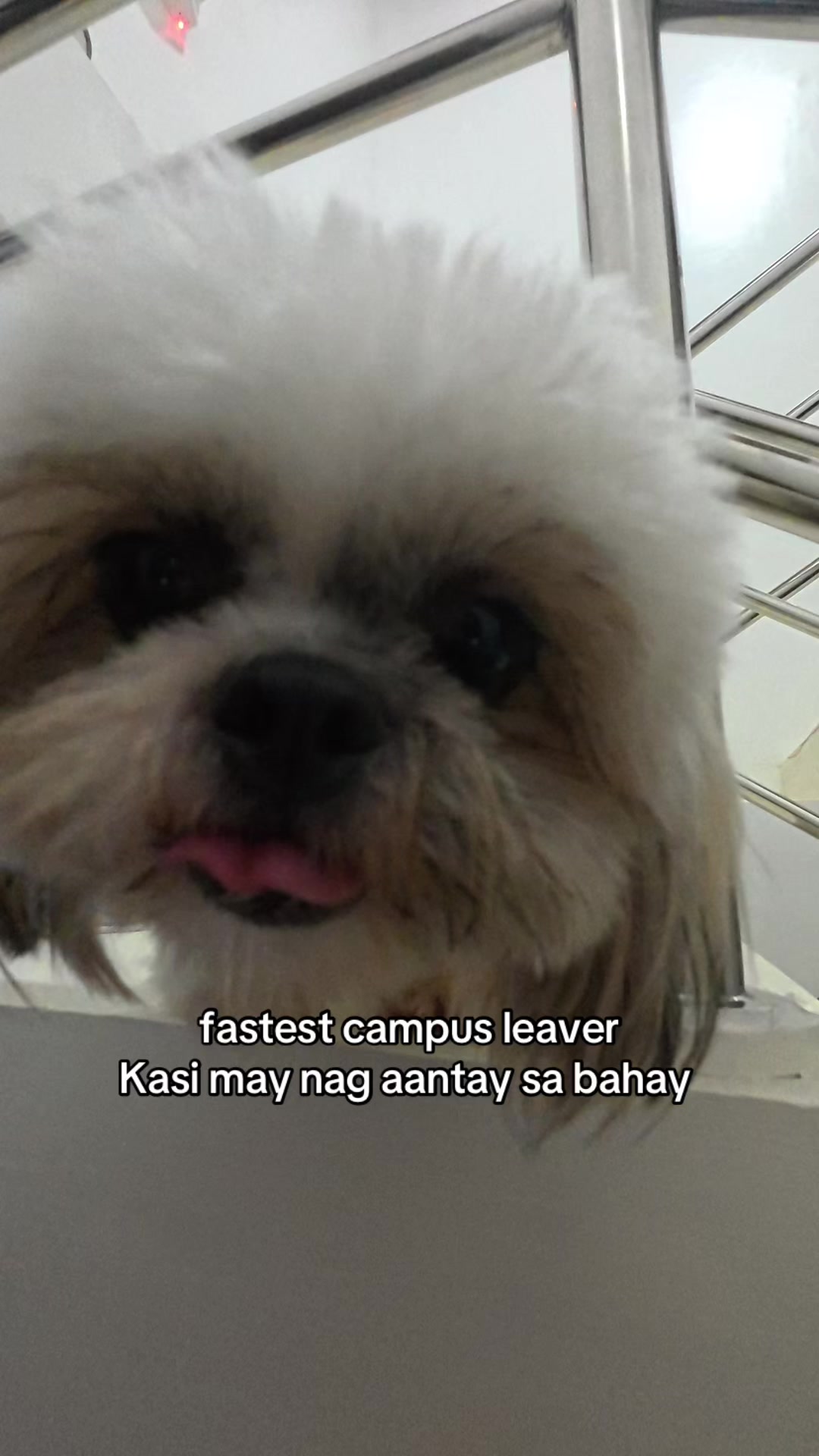 @MyWorld
