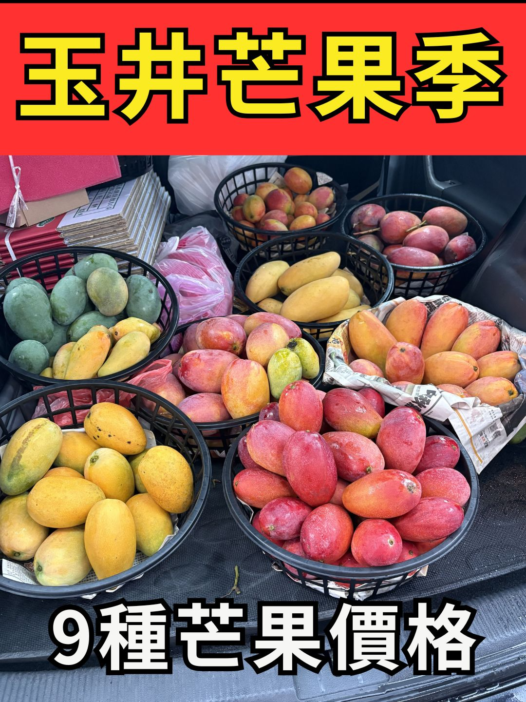 @招財魚水族精品