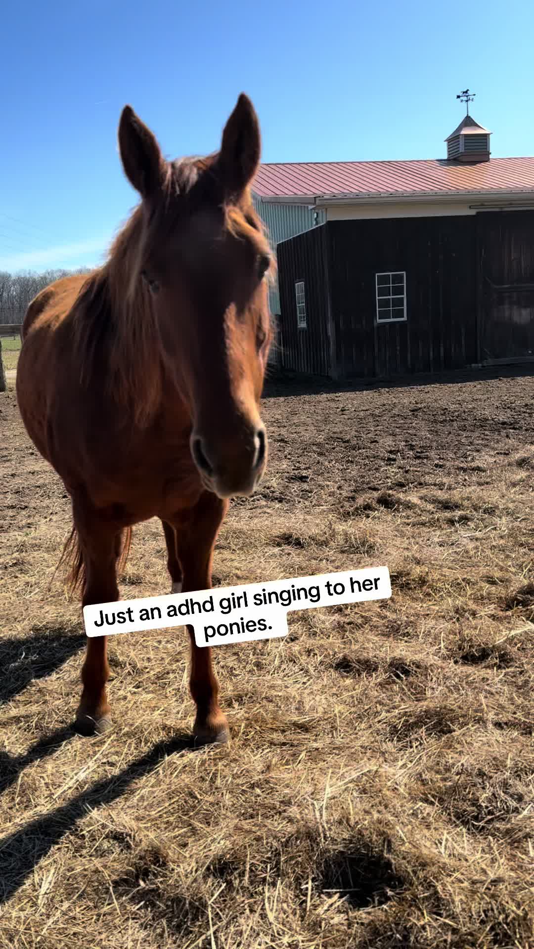 @thismustanglife