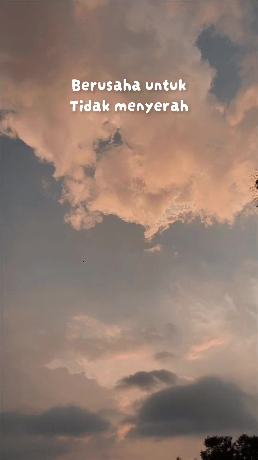 @kang ajun