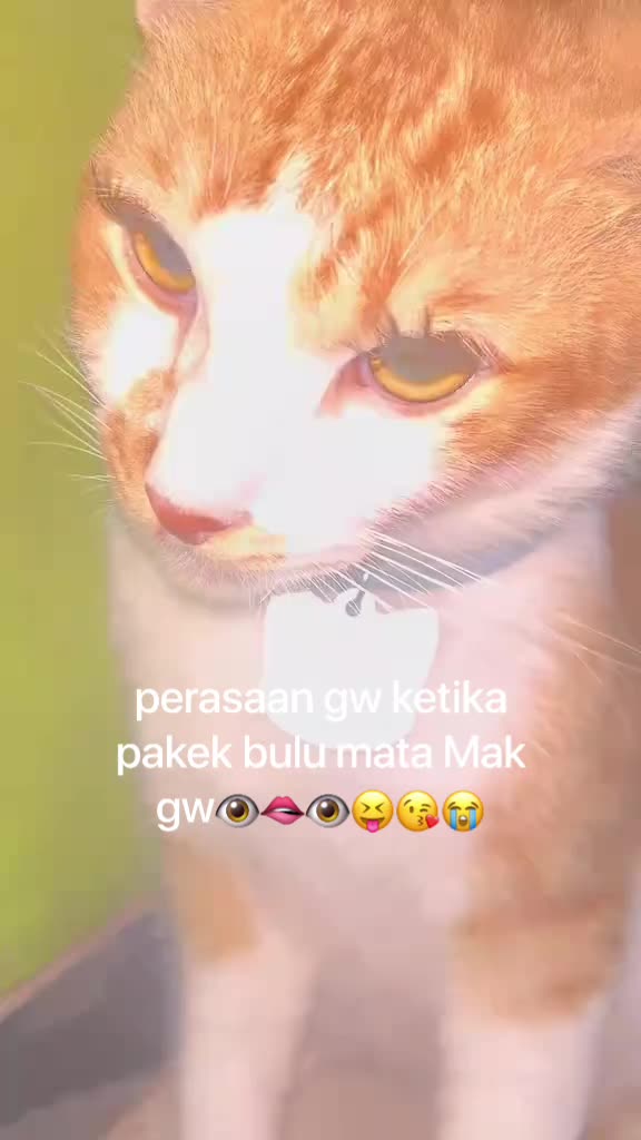 @unknown?