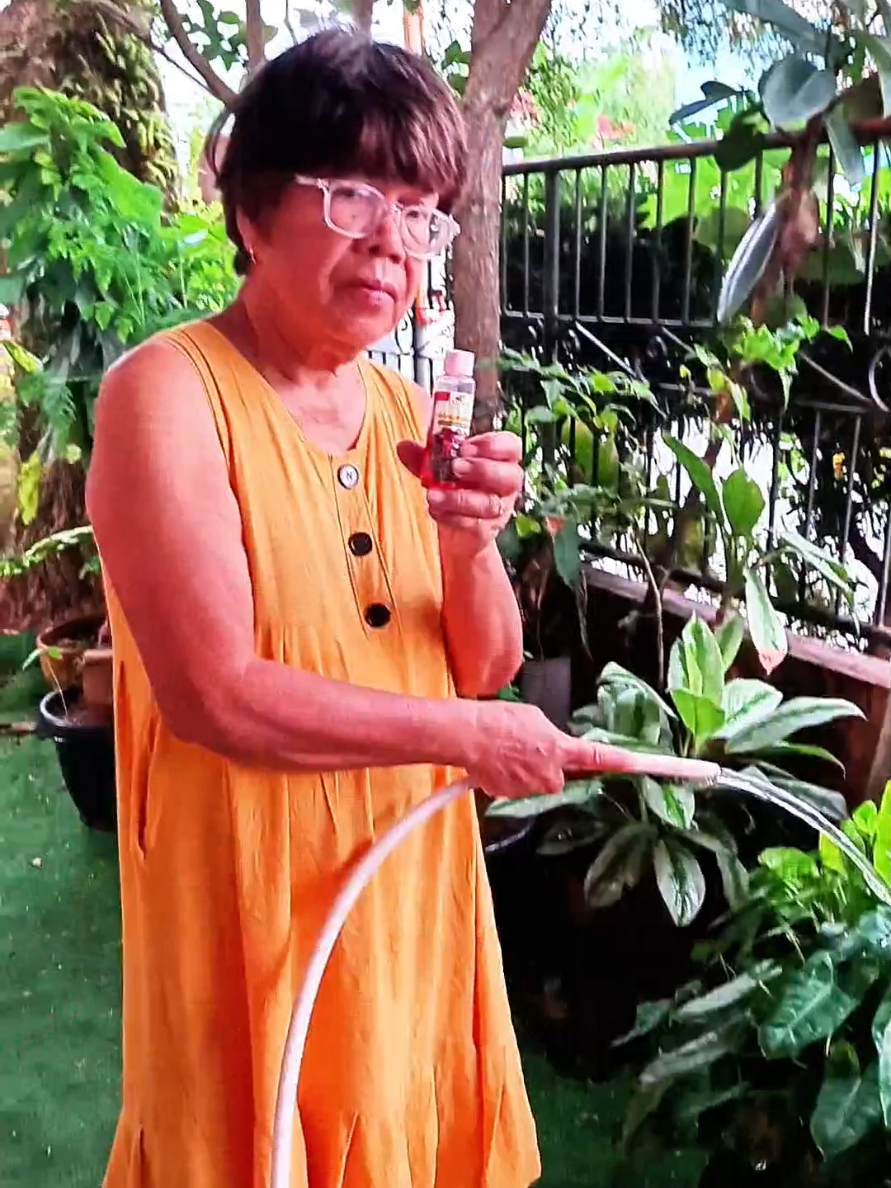 @TayNay Budol Finds