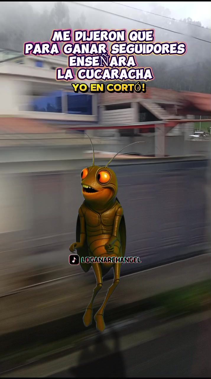 @davichito.RT