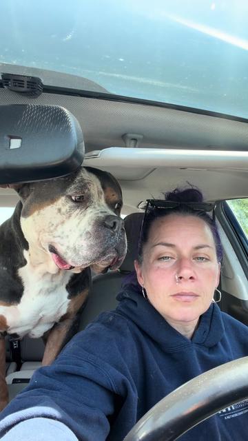 @hairstylingdoglady
