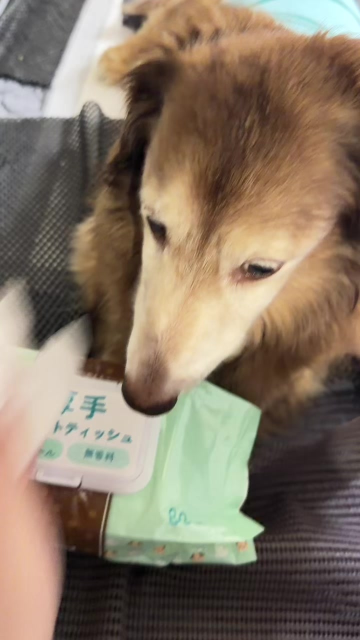 @しもひ