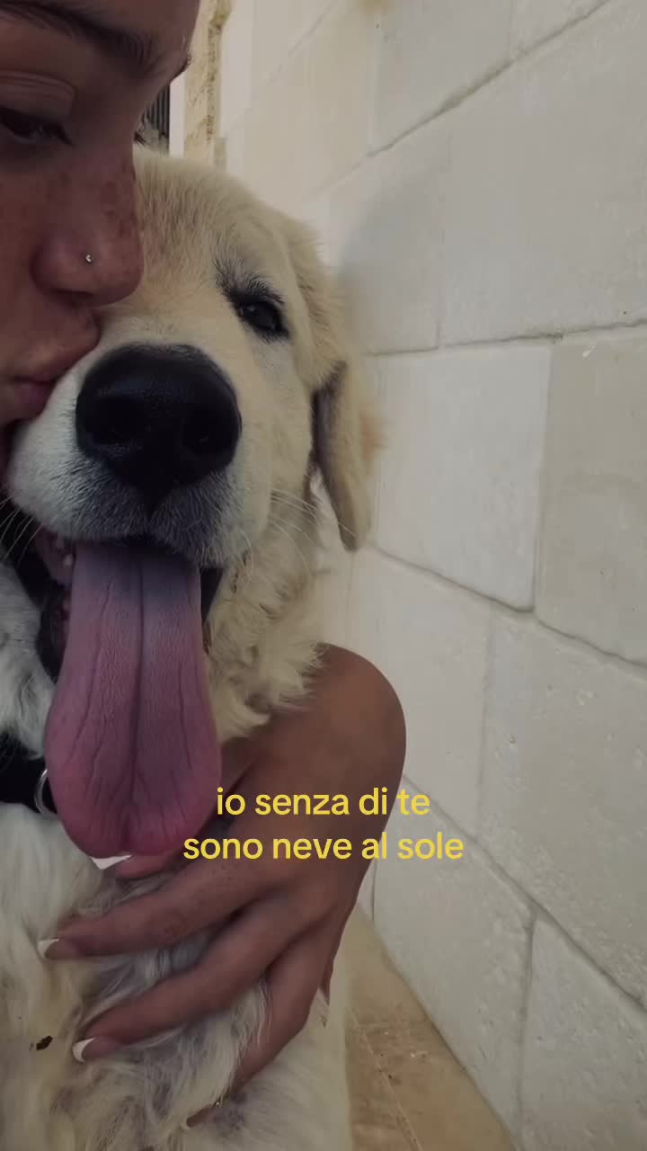 @Giulia Vizzino