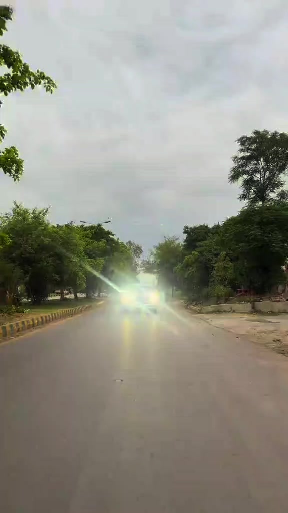 @⚜️آسامہ نمبر دار🥂🥂