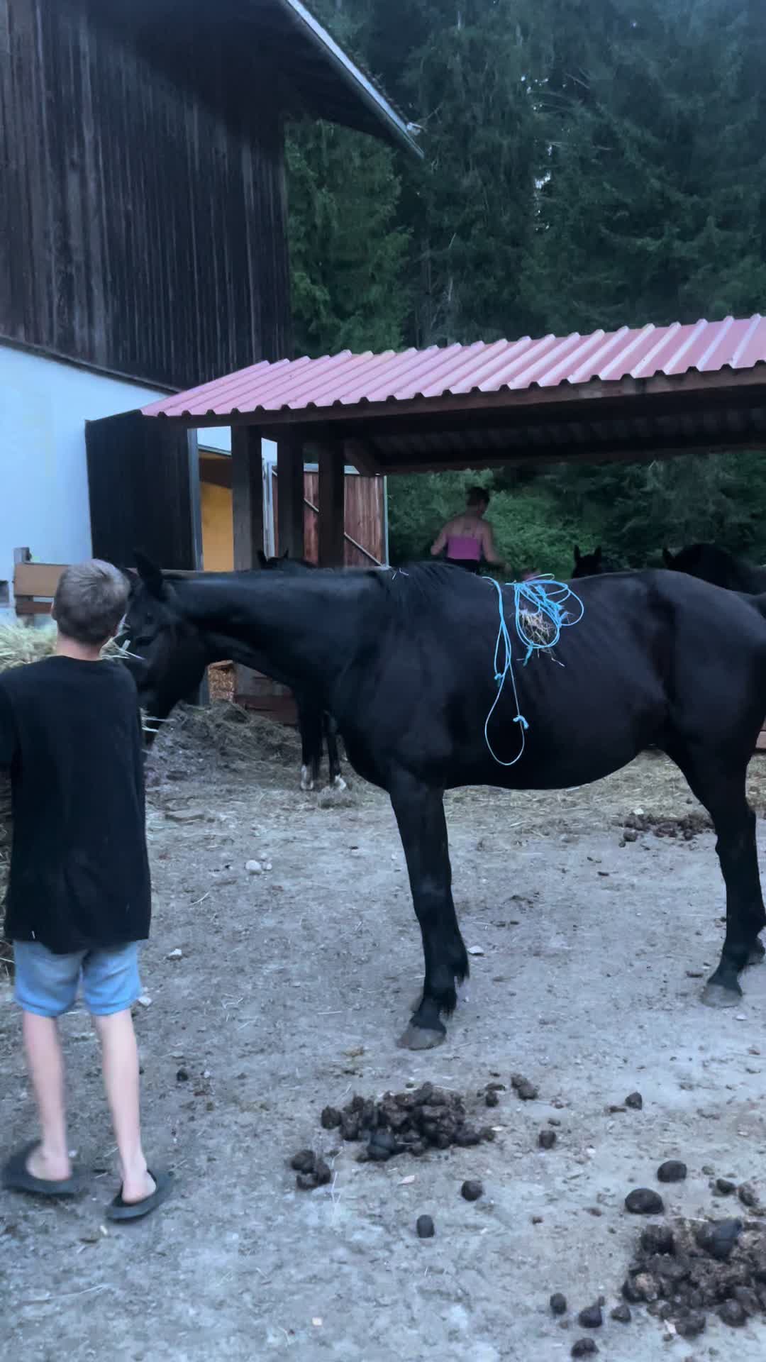 @Mountain Hill Ranch 🇦🇹