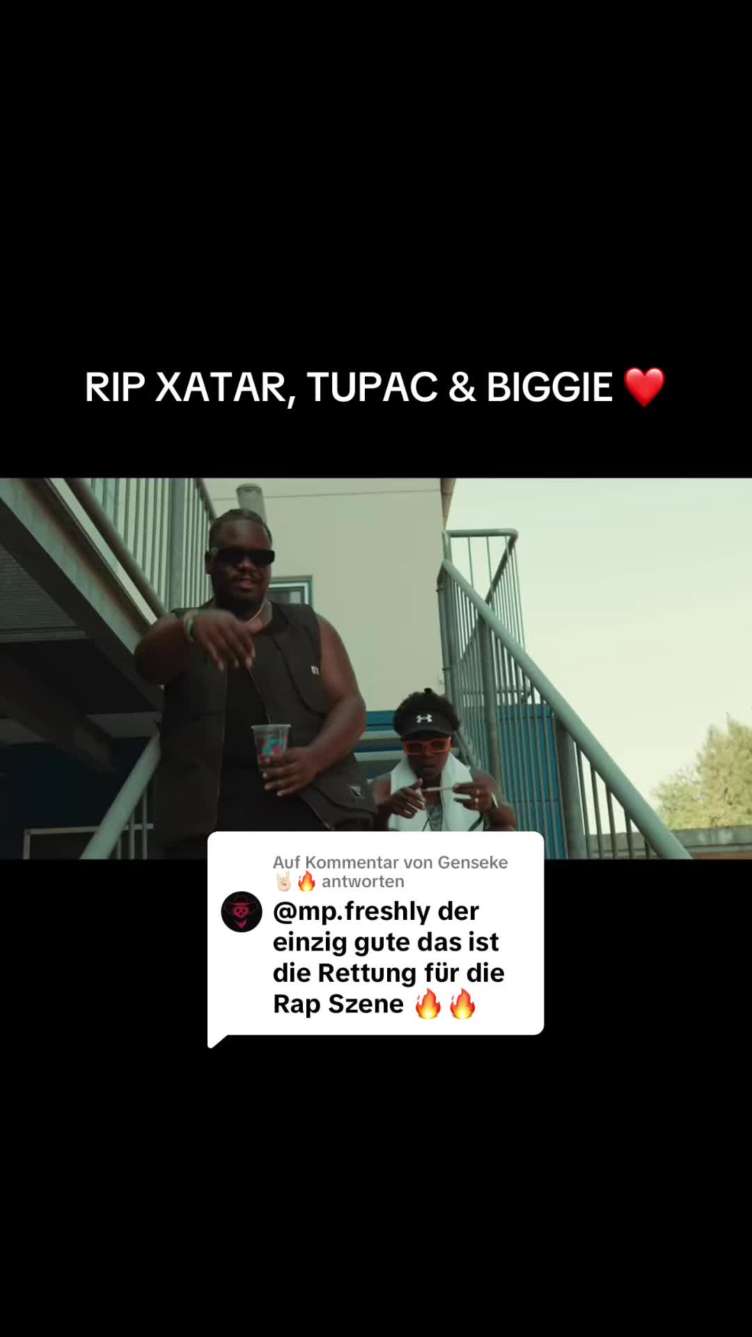 @mp.freshly