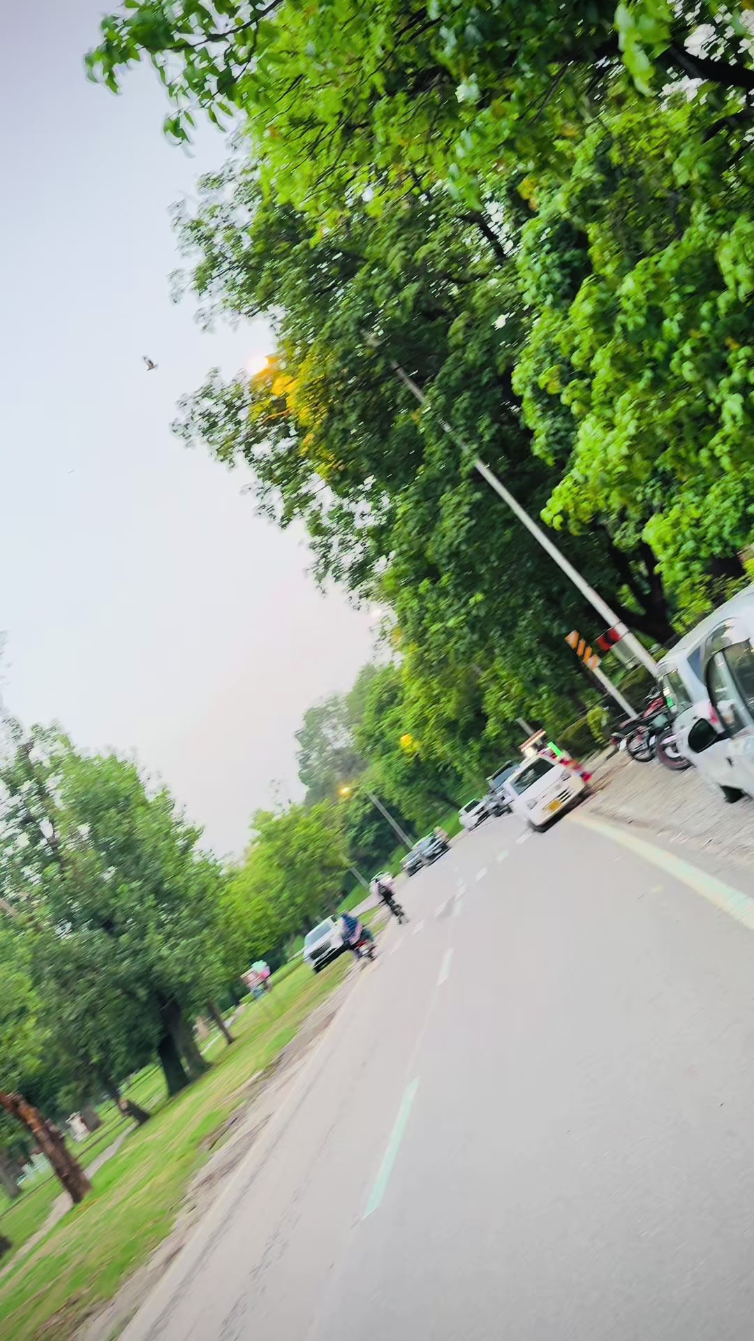 @سیفی لالے