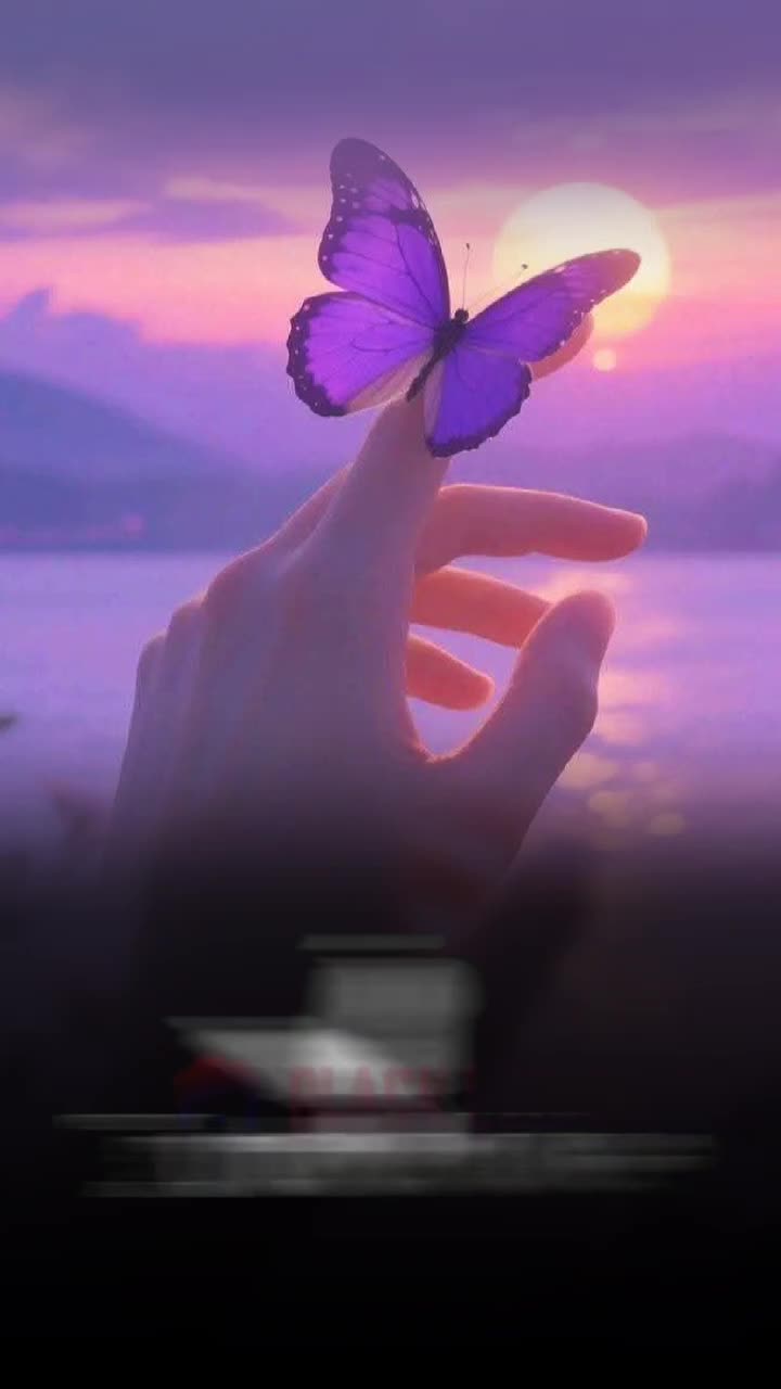 @🎧🕊️🅐︎🅛︎🅞︎🅝︎🅔︎🕊️🎧