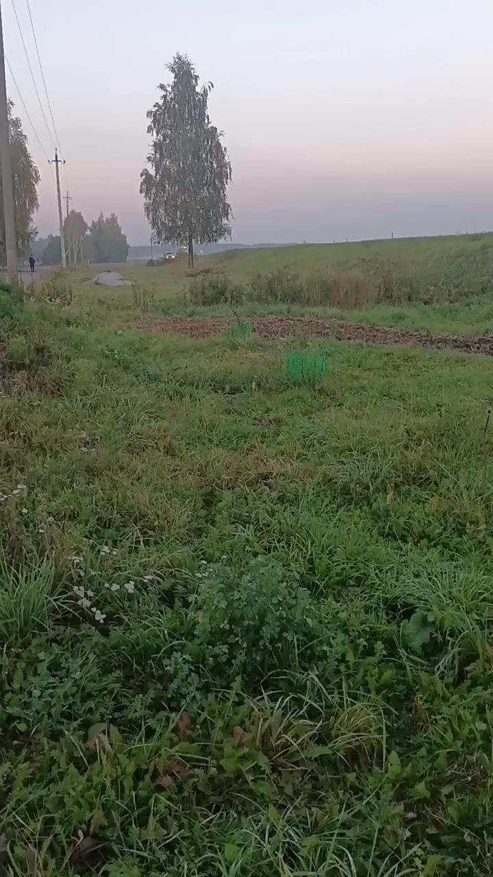 @Александр