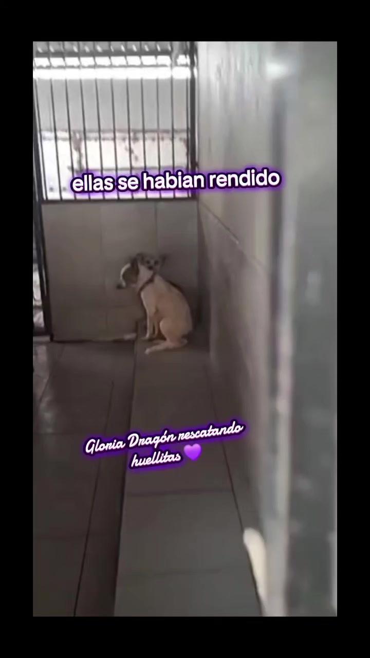@Gloria Arellano Ramirez