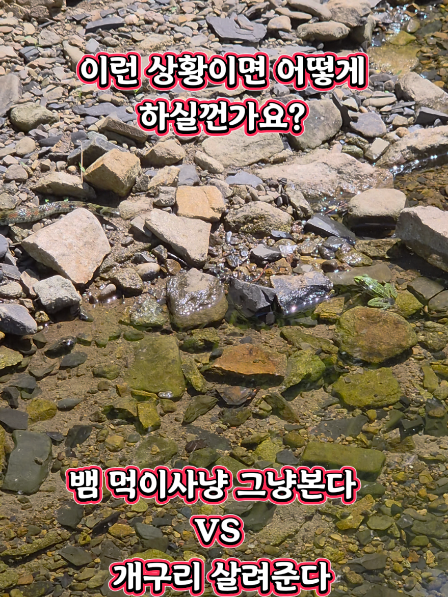 @지니힐즈