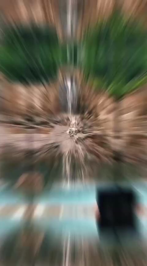 @️©™C🅰️RL🅾️S±★