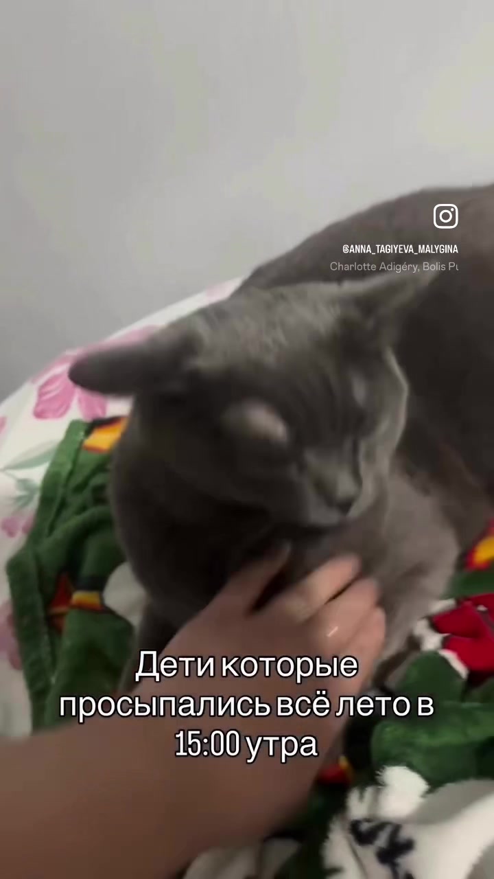 @Arktikfamily