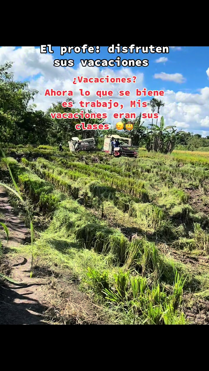 @Alejandro