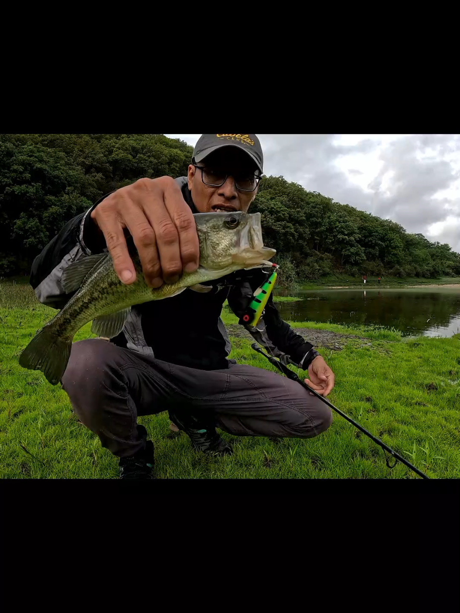 @soy 🐟SALADO🎣