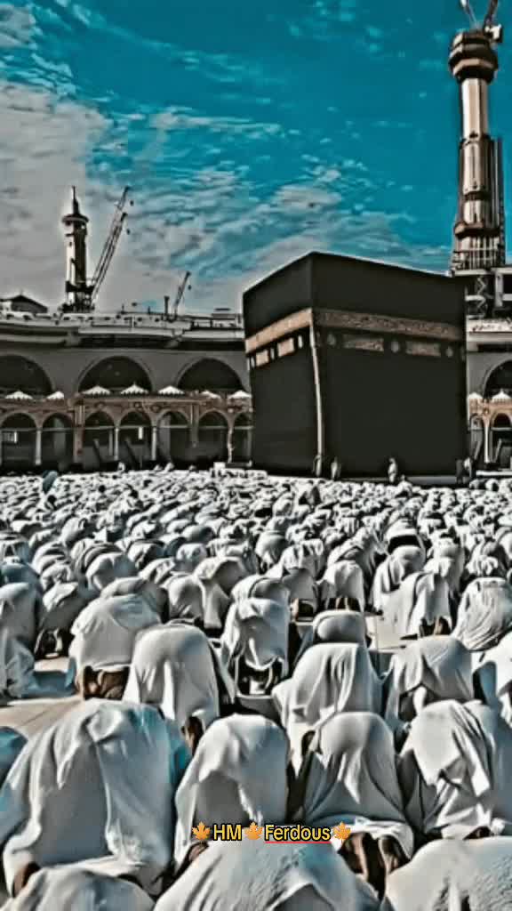 @user5604263574719