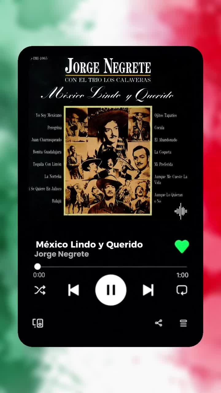 @La Coleccionista De Canciones