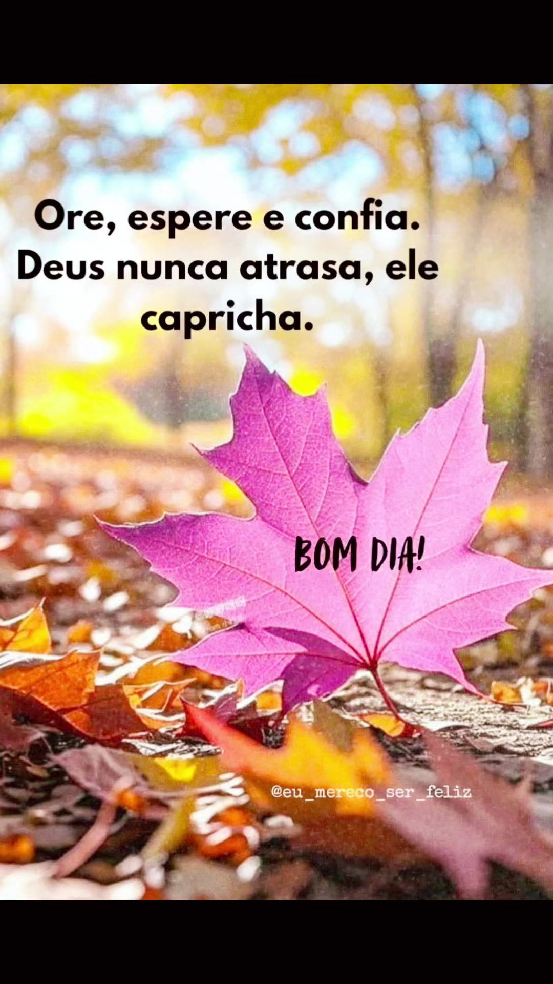 @Rosani ✨🦋✨