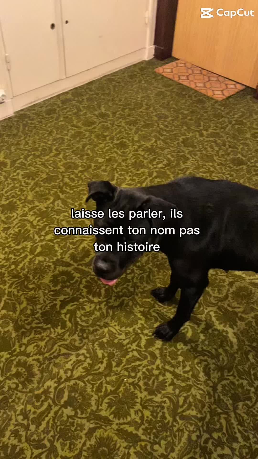 @les.aventures.de.naya