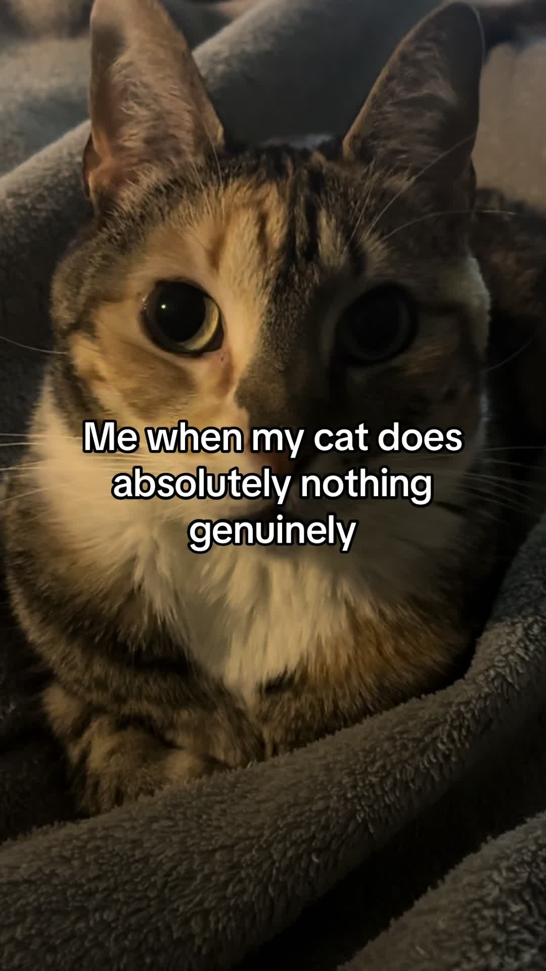 @Simbaa