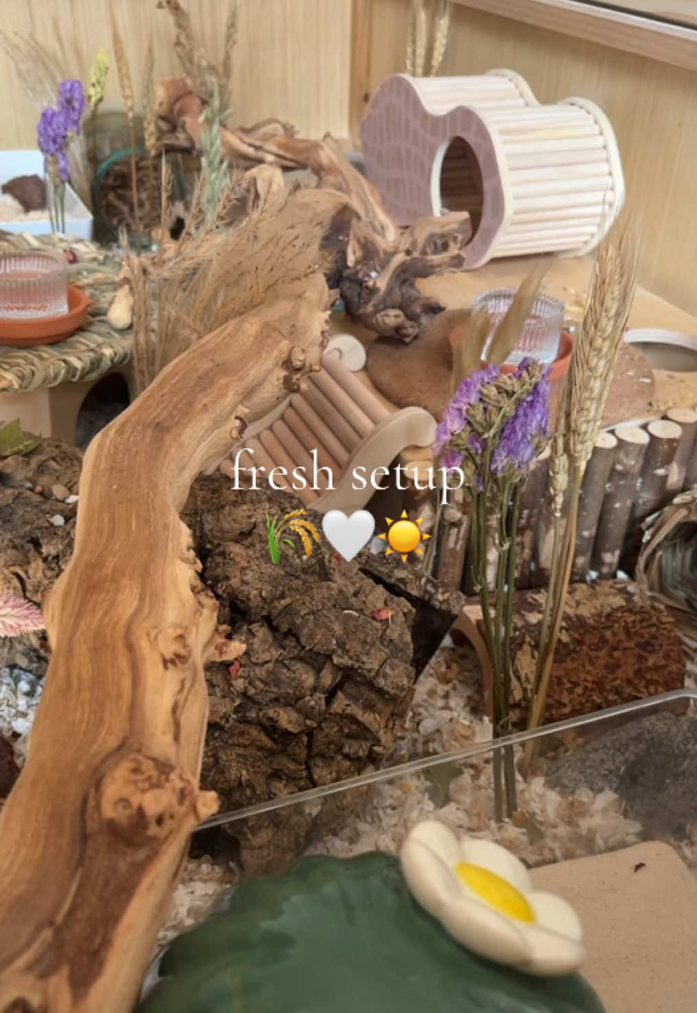 @ɪꜱʟᴀ