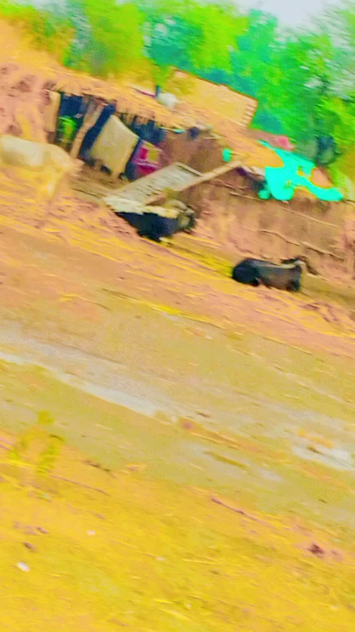 @Sawai