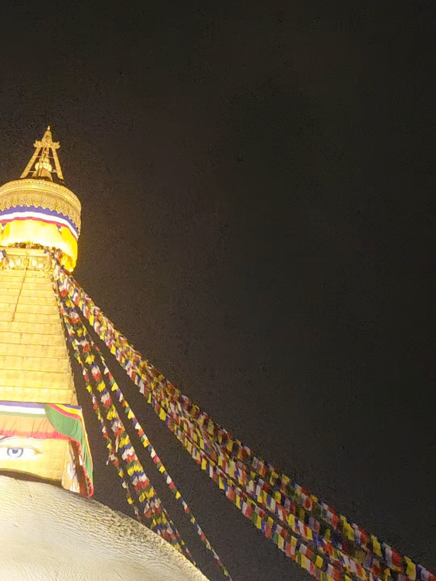 @Renu Raut Lama